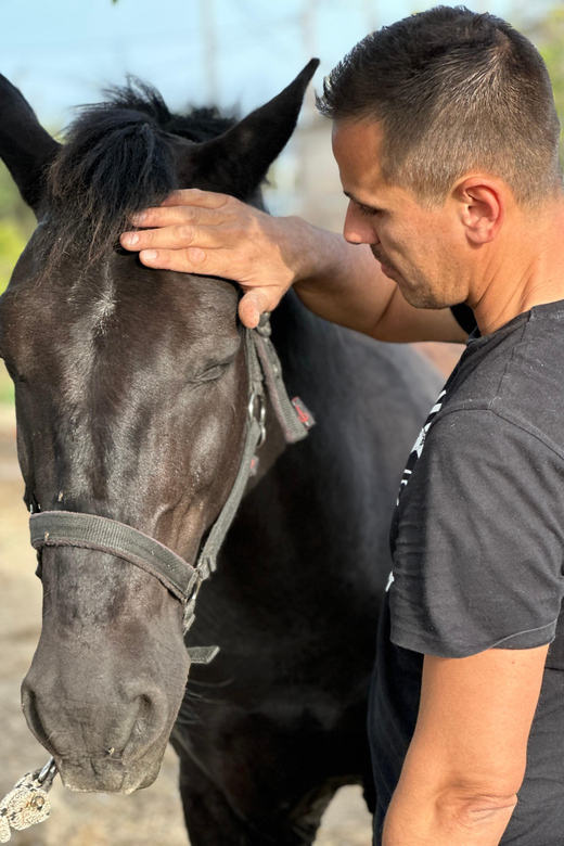 Rhodes: Horseback Riding Trip with Digital Photos - Photos that make the price more worthwhile