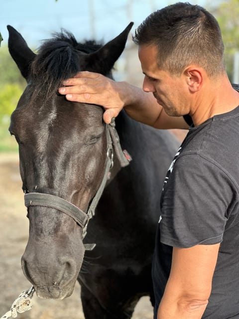 Rhodes: Horseback Riding Trip with Digital Photos - Who should book this ride