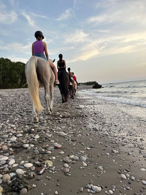 Rhodes: Horseback Riding Trip with Digital Photos - Language, group size, and cancellation