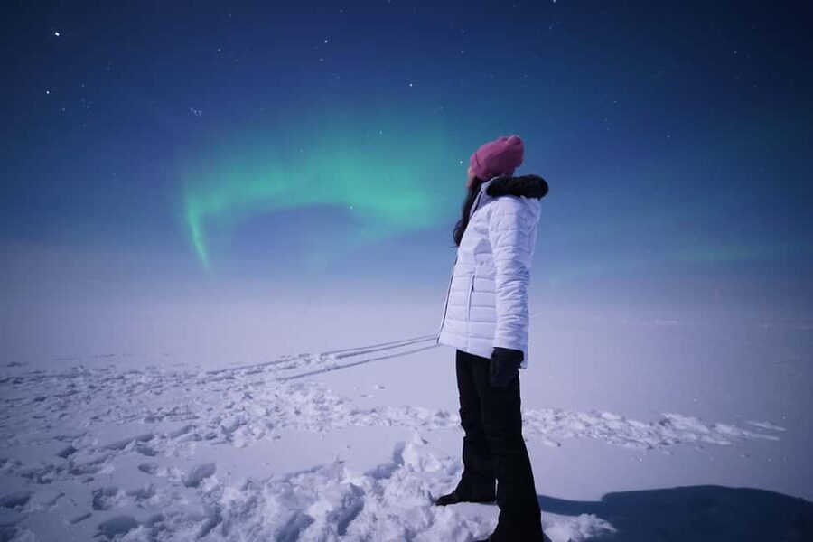 Rovaniemi: Aurora Hunt - Free Photos, 100% Guaranteed Refund - Small group or bus: choose based on your priorities