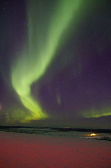 Rovaniemi: Aurora Hunting Photography Tour(98% Success Rate) - What the $141 price really covers