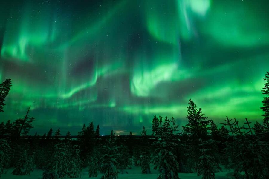 Rovaniemi: Best & Original Aurora Experience with Pro Photos - Professional photos and camera help