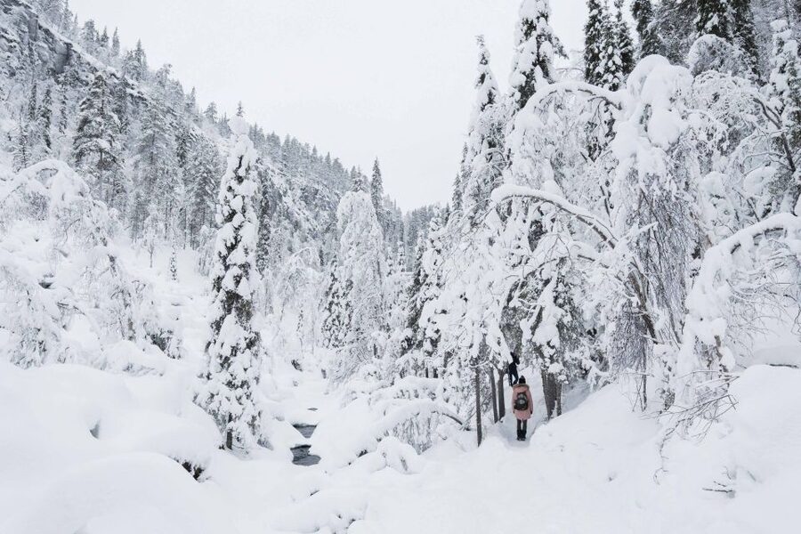 Rovaniemi: Frozen Waterfalls of Korouoma Canyon & Pro Photos - Why Korouoma is worth the long ride