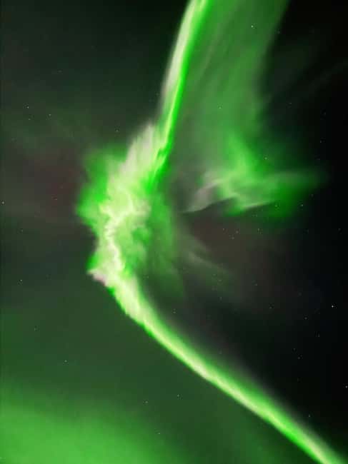 Rovaniemi: Guaranteed Northern Lights & Photography Tour - Cost, group size, and overall value