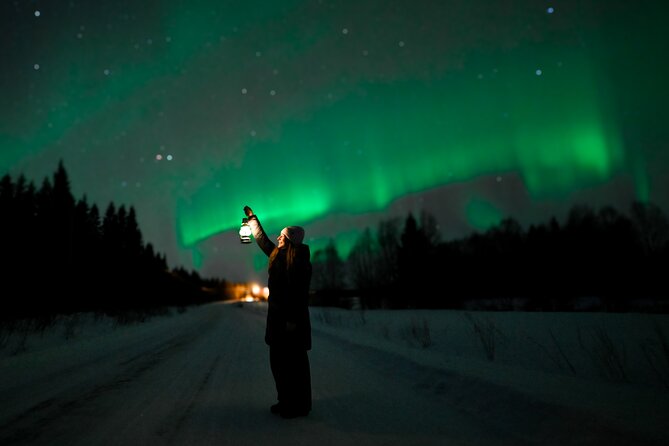 Rovaniemi: Guaranteed Northern Lights - Small Group & Photography - What the drive is like in a group of eight