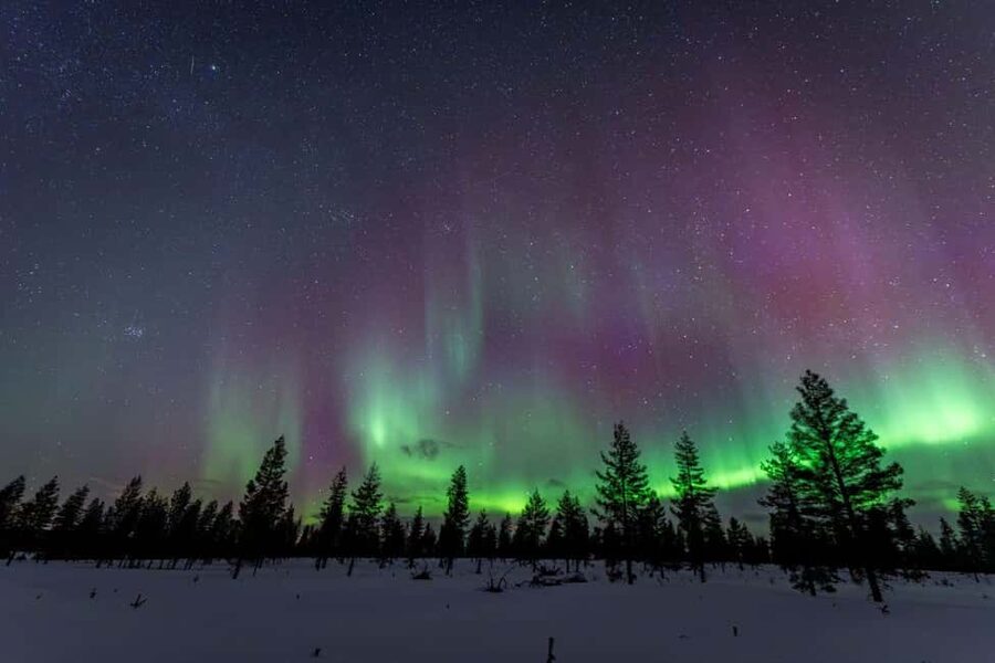 Rovaniemi: Northern Lights Photo Tour | Money-Back Guarantee - The photography session under the aurora