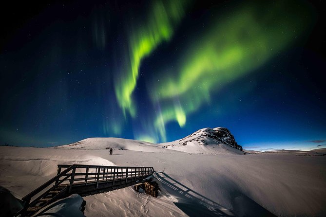 Rovaniemi Northern Lights Photography Small-Group Tour - What the 4.6 rating really tells you