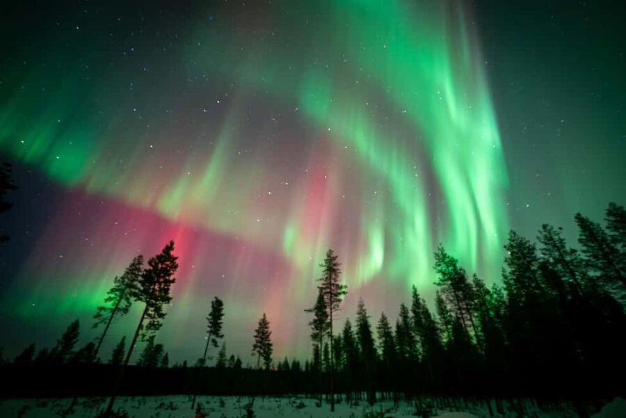 Rovaniemi: Northern Lights Photography Tour & BBQ - Who should book this Northern Lights tour?