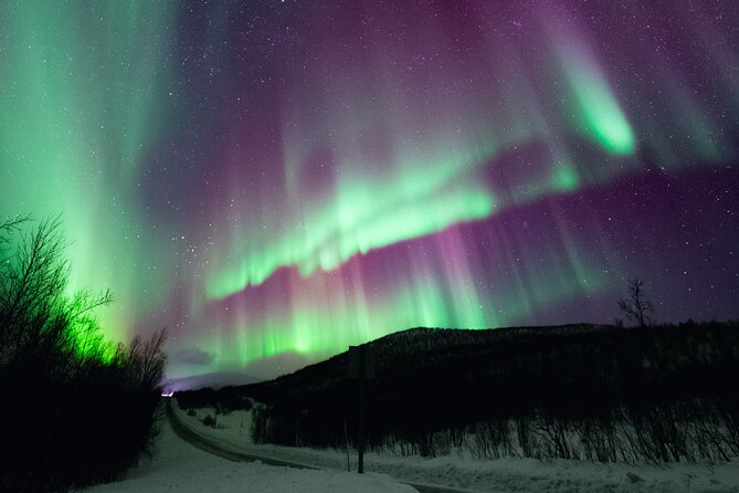 Rovaniemi: Northern Lights Pro Guaranteed - Unlimited (PRIVATE) - Chasing clear skies across Lapland