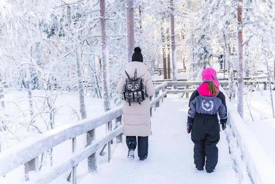 Rovaniemi: Ranua Wildlife Park guided tour with Pro Photos - Polar bears, wolverines, wolves, and Arctic foxes