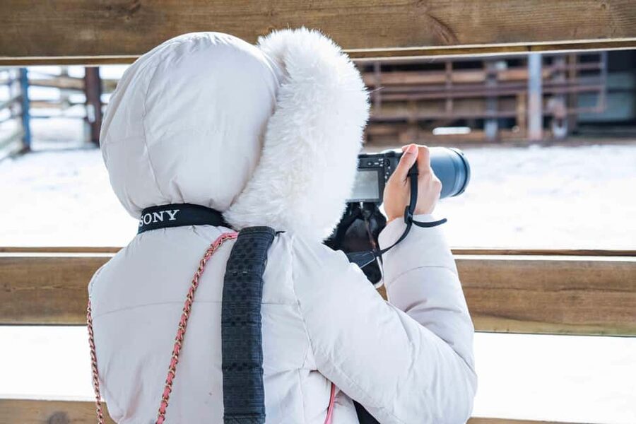 Rovaniemi: Ranua Wildlife Park guided tour with Pro Photos - The pickup from Rovaniemi