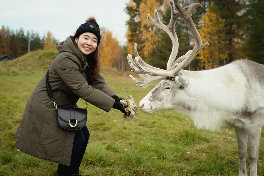 Rovaniemi: Reindeer Farm Visit with Photographer - Why this reindeer visit feels more personal