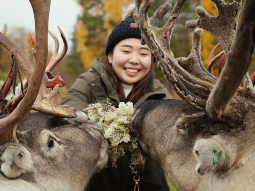 Rovaniemi: Reindeer Farm Visit with Photographer - What the photographer adds