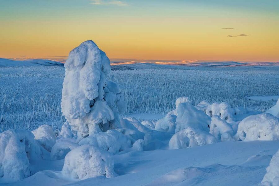 Rovaniemi: Riisitunturi Guided Hike with Photography and BBQ - Key points at a glance