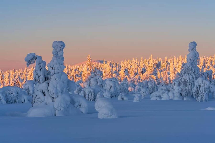 Rovaniemi: Riisitunturi Guided Hike with Photography and BBQ - Why Riisitunturi makes a worthwhile day trip