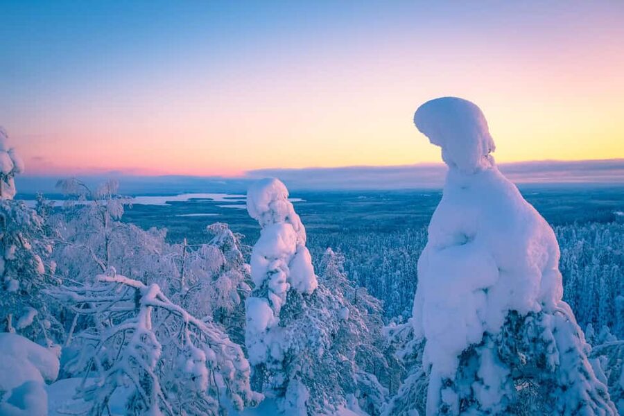 Rovaniemi: Riisitunturi Guided Hike with Photography and BBQ - Walking the 4.3-kilometer Riisitunturi route