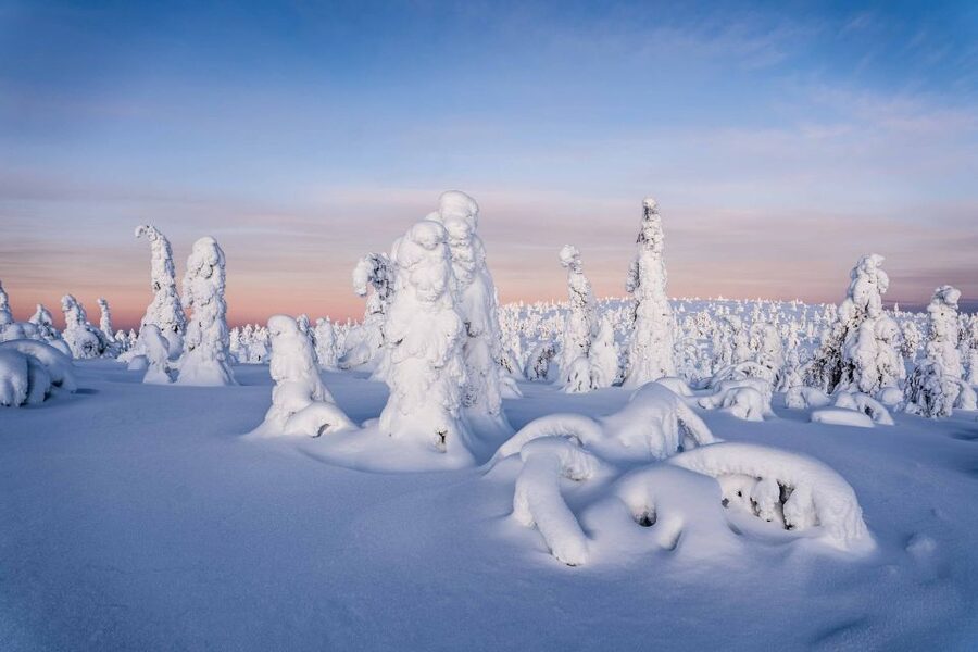 Rovaniemi: Riisitunturi National Park with Pro Photos & BBQ - The long road north from Rovaniemi