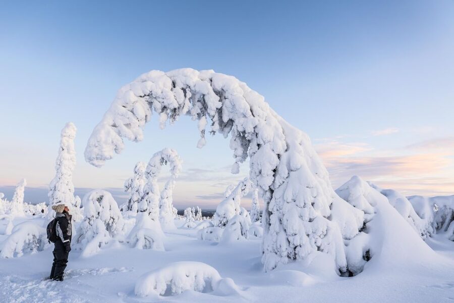 Rovaniemi: Riisitunturi National Park with Pro Photos & BBQ - What the $159 price really covers