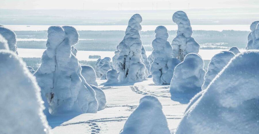 Rovaniemi: Riisitunturi National Park with Pro Photos & BBQ - Who will enjoy this day most