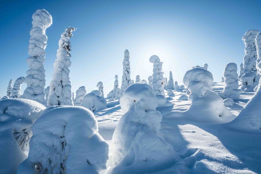 Rovaniemi: Riisitunturi National Park with Pro Photos & BBQ - Useful planning details before you go
