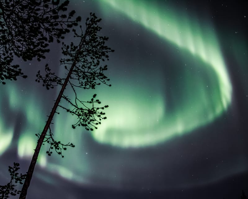 Saariselkä: Aurora Photo Tour by Car with Transfer & Drinks - When the weather refuses to cooperate
