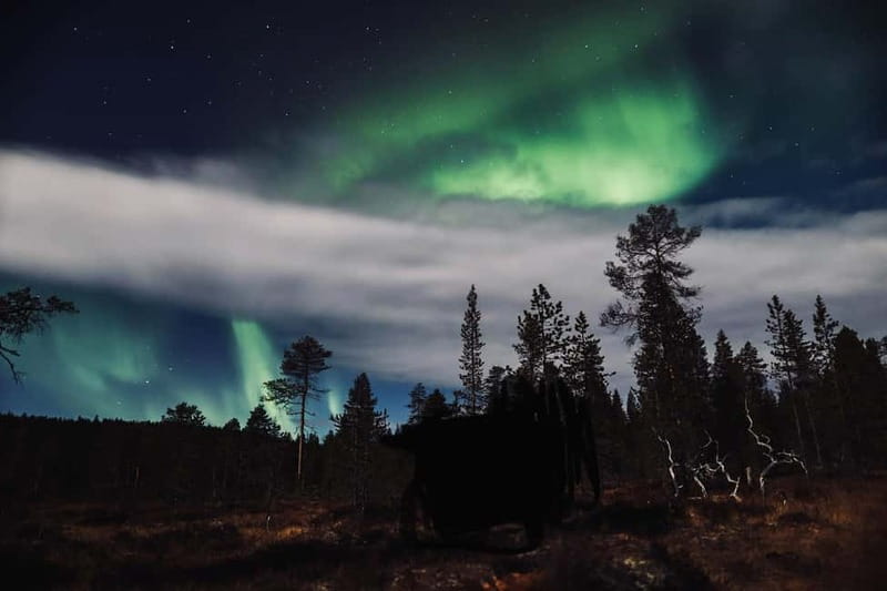 Saariselkä,Kakslauttanen: Aurora Hunting & Photography Tour. - The guide matters more than the vehicle