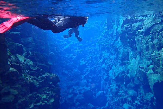 Silfra Fissure Snorkeling From Reykjavík - Free Underwater Photos - Safety, fitting, and guide support