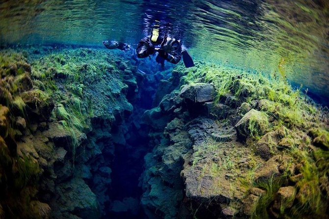 Silfra Fissure Snorkeling From Reykjavík - Free Underwater Photos - Is the $211.72 price fair?
