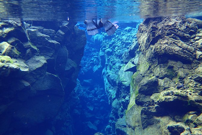 Silfra Fissure Snorkeling From Reykjavík - Free Underwater Photos - Who should book this experience?