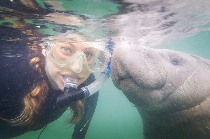 Small Group Manatee Snorkel Tour with In-Water Guide and Photographer - Why Crystal River Is the Place for a Wild Manatee Swim