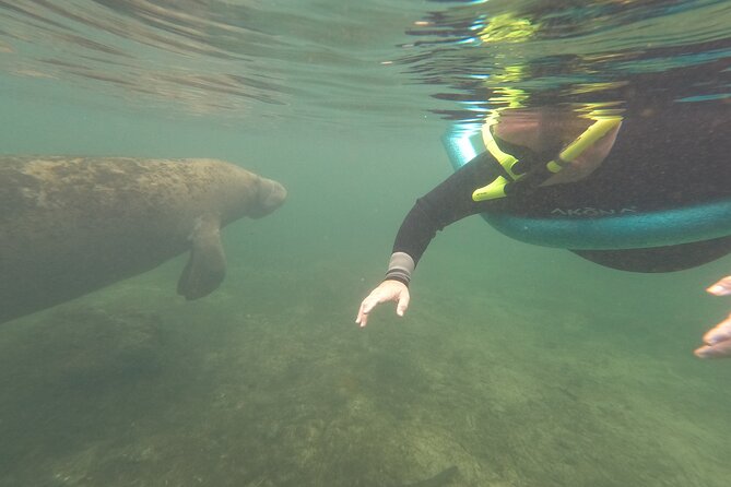Small Group Manatee Snorkel Tour with In-Water Guide and Photographer - Three Sisters Springs and Clearer Water When Conditions Allow