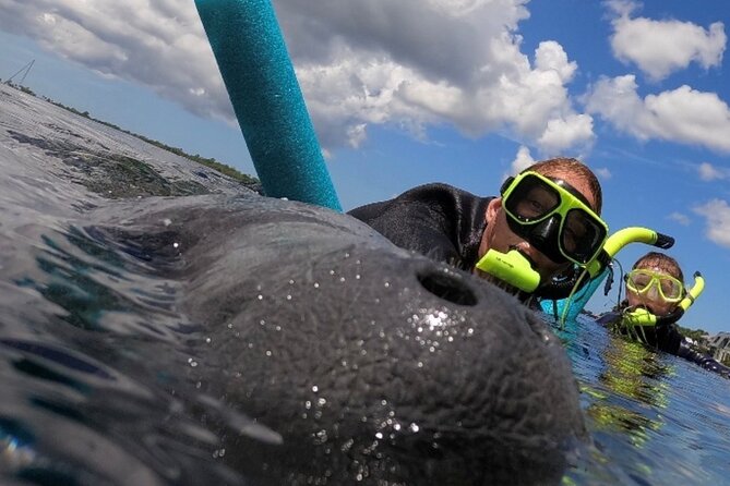 Small Group Manatee Snorkel Tour with In-Water Guide and Photographer - Check-In at 439 NE 1st Terrace