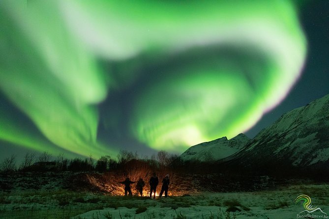 Small-Group Northern Lights Tour from Tromso with Photos - Thermal suits, winter clothing, and staying warm