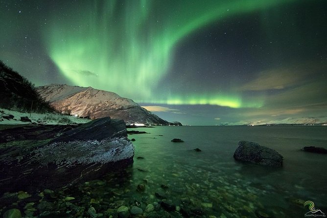 Small-Group Northern Lights Tour from Tromso with Photos - Photography with a guide who knows the night sky