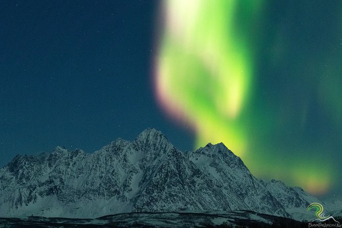 Small-Group Northern Lights Tour from Tromso with Photos - The minibus chase toward clear skies