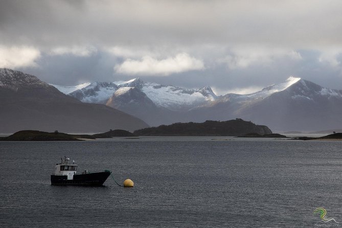 Small-Group Norwegian Fjords Tour from Tromso with Photos - Why this Tromsø fjord trip works well