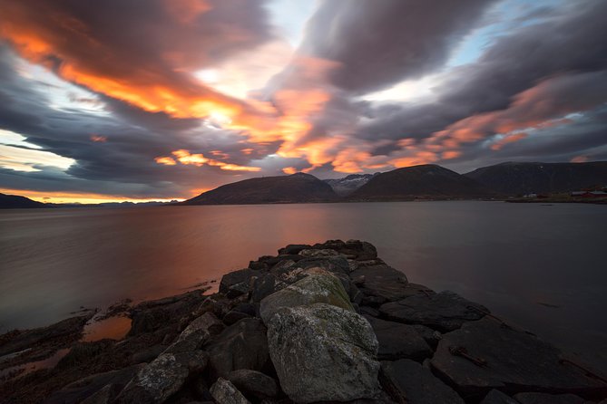 Small-Group Norwegian Fjords Tour from Tromso with Photos - Warm drinks, cake, and a break outdoors