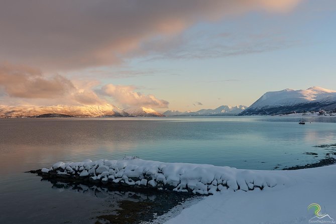 Small-Group Norwegian Fjords Tour from Tromso with Photos - Starting at Magic Ice Bar Tromsø