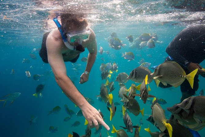 Snorkel & Explore Pelican Rock by Glass Boat + Photos - Is $125 a fair price?