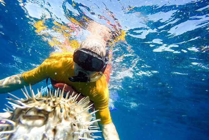 Snorkel & Explore Pelican Rock by Glass Boat + Photos - Who will enjoy this Cabo outing?