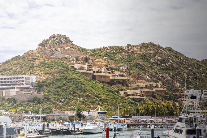 Snorkel & Explore Pelican Rock by Glass Boat + Photos - Should you book Snorkel and Explore Pelican Rock?
