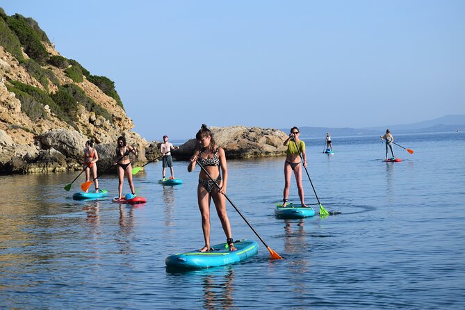 Stand Up Paddle With Dolphins, aperitif and pictures - Photos, videos, and what you receive