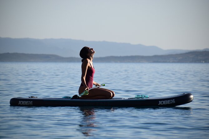 Stand Up Paddle With Dolphins, aperitif and pictures - Rounding Figarolo Island