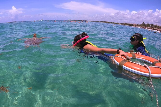 Swim with Turtles in Akumal + GoPro Photo Session - Why Akumal’s turtle swim is special
