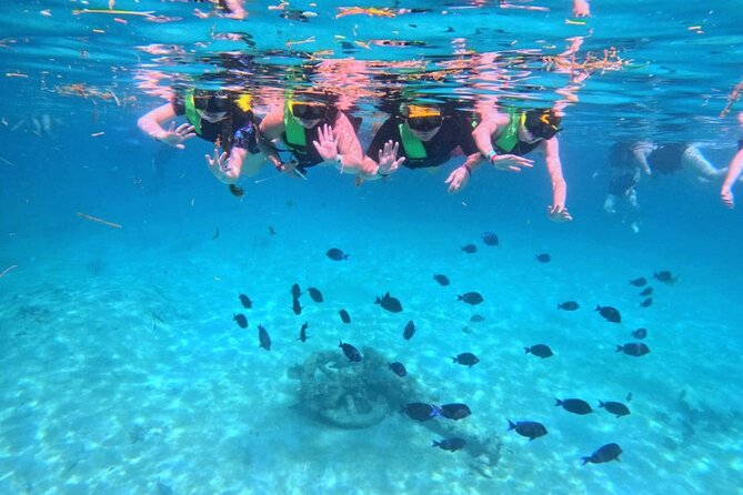 Swim with Turtles in Akumal + GoPro Photo Session - Is $53.59 a good value?
