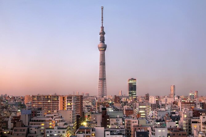 Tokyo 6hr Instagram Highlights Private Tour with Licensed Guide - The key points at a glance