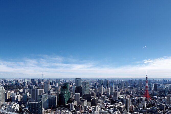 Tokyo 6hr Instagram Highlights Private Tour with Licensed Guide - Shibuya Crossing: the must-have city photograph