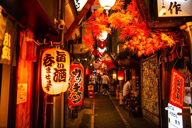 Tokyo 6hr Instagram Highlights Private Tour with Licensed Guide - Meiji Jingu and Harajuku: a useful contrast