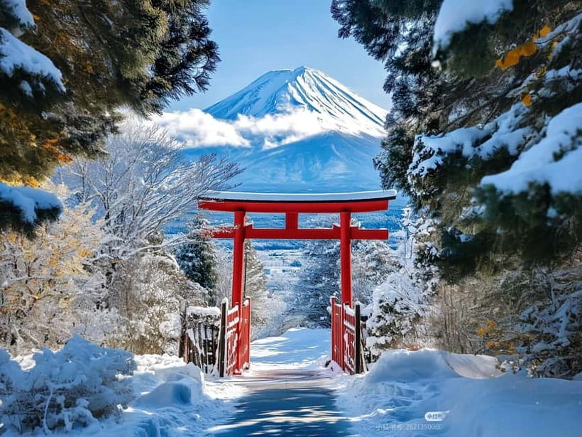 Tokyo: Mt. Fuji & Lake Kawaguchi Instagram Full Day Trip - What this Tokyo to Fuji day trip is really like
