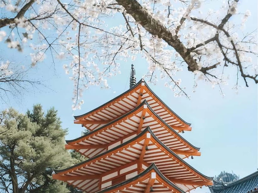 Tokyo: Mt. Fuji & Lake Kawaguchi Instagram Full Day Trip - Who will get the most from this $61 outing
